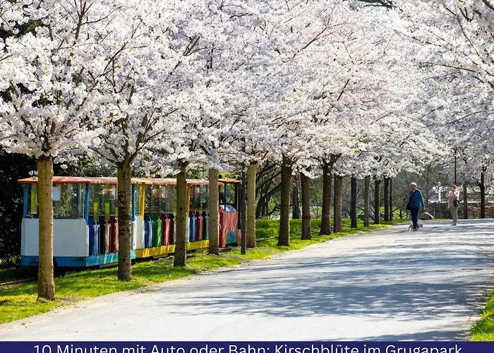 Stilvoll & Zentral In Der Innenstadt, Nahe Hauptbahnhof Und Limbecker Platz, Helle Und Grosszuegige Raeume, Voll Ausgestattete Kueche Apartament Essen